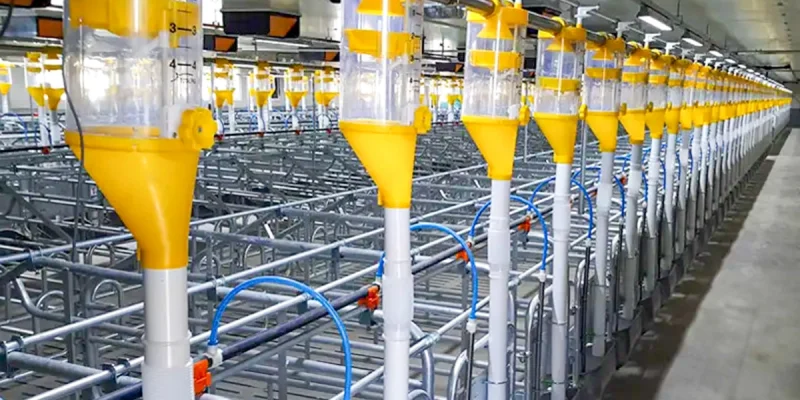 img-phason-controls-chain-disk-feeding-system-1